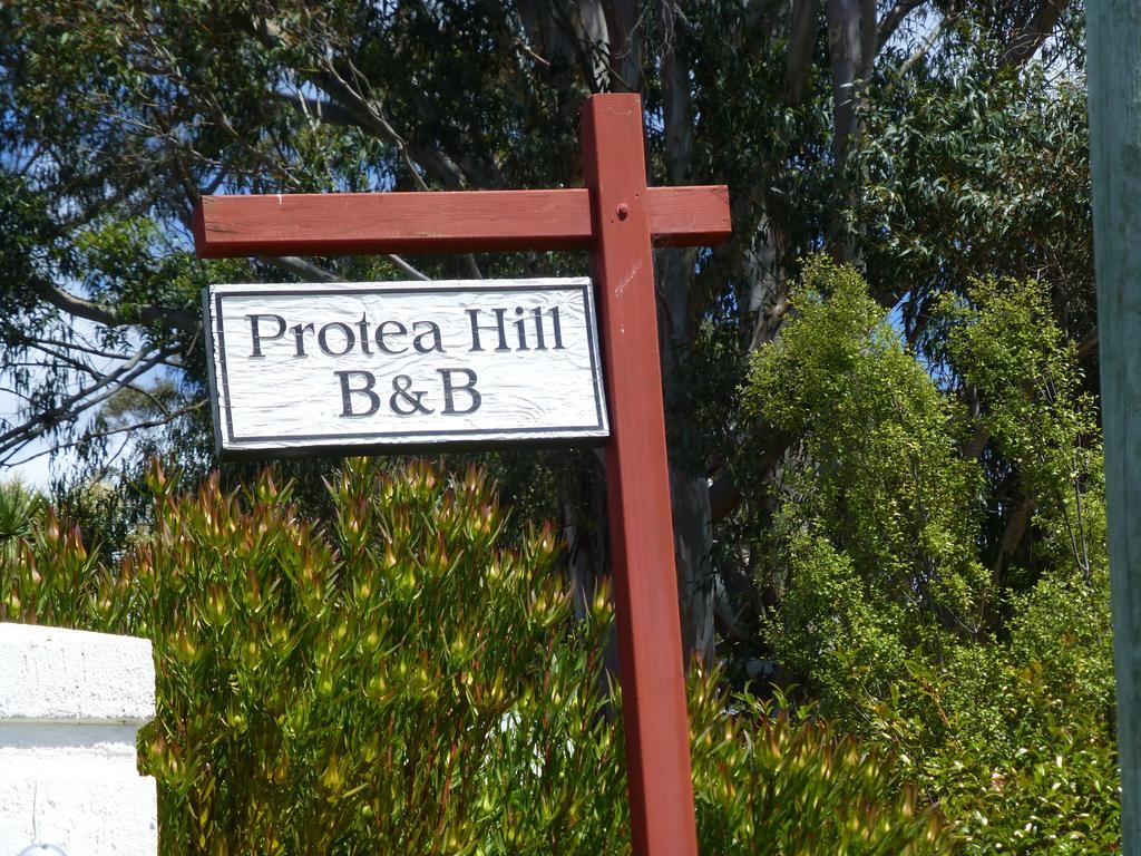 Protea Hill Bed & Breakfast Launceston Eksteriør bilde